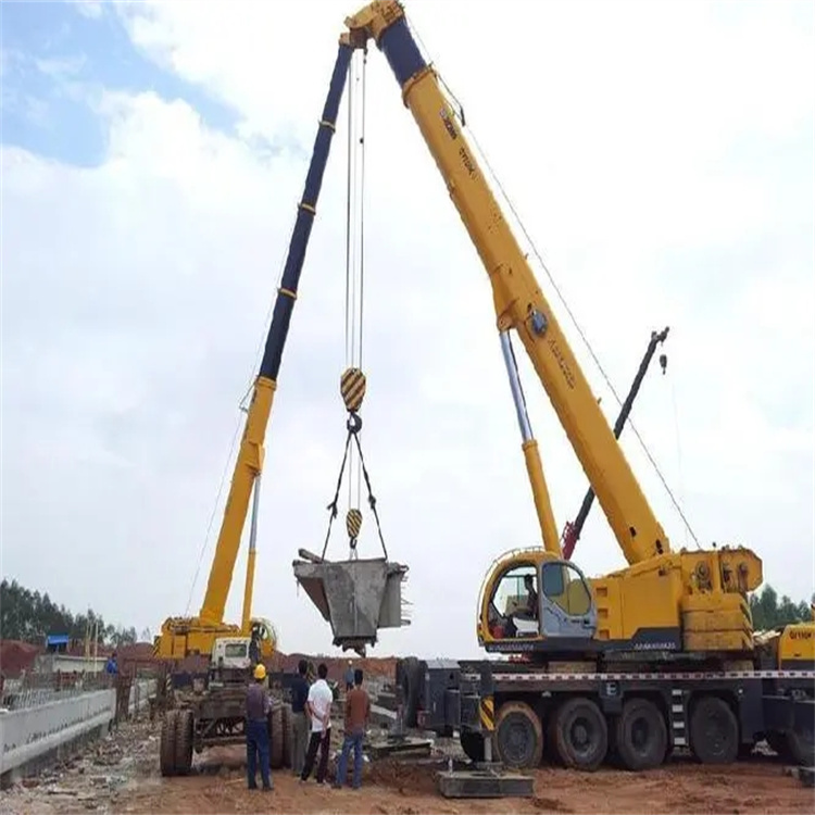 鄱阳小型吊机出租电话|厂房设备吊装方案|24小时服务覆盖